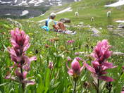 San Juan National Forest