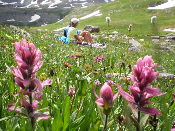 San Juan National Forest