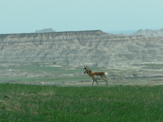 Badlands National Park