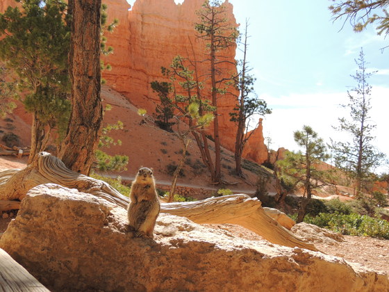 Bryce Canyon National Park