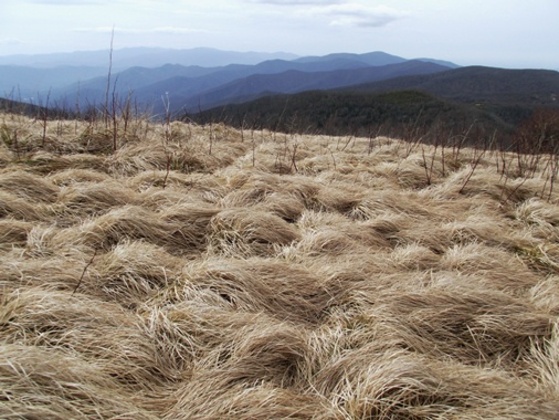 Great Smoky Mountains National Park