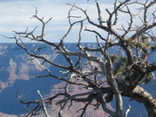 Grand Canyon National Park
