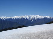Olympic National Park