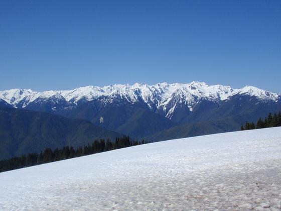 Olympic National Park