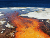 Yellowstone