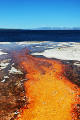 Yellowstone