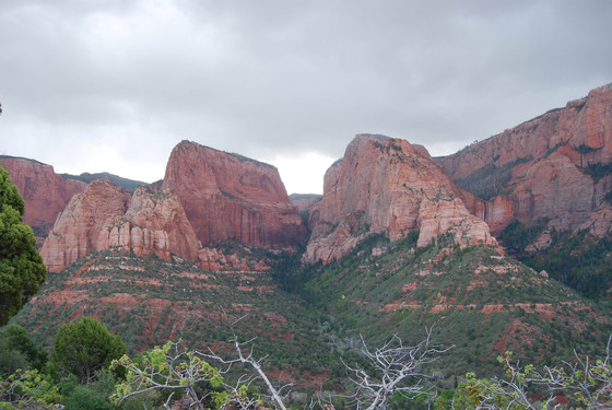 Zion National Park