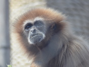 what are you looking at