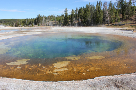 Yellowstone National Park