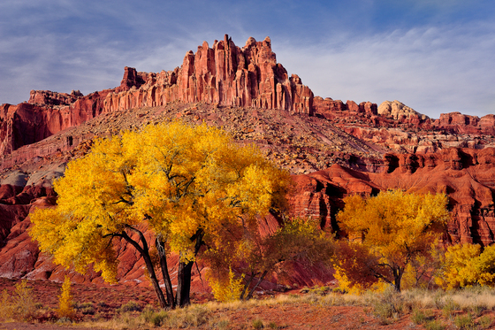 Capitol Reef National Park