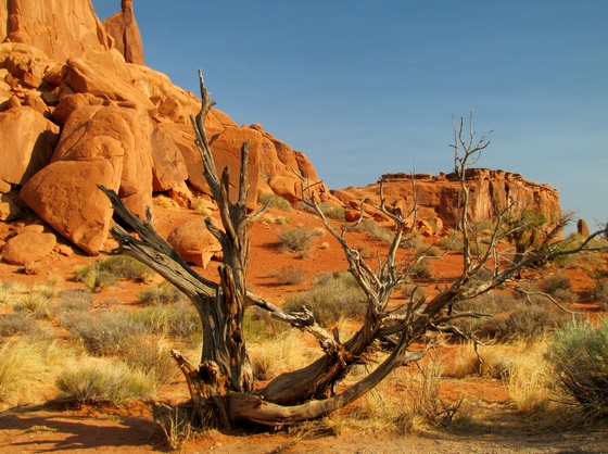 Arches