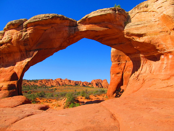 Arches National Park 