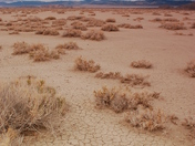 Bonneville Salt Flats