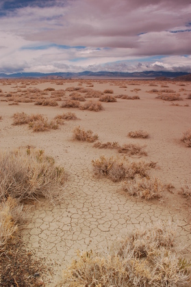 Bonneville Salt Flats