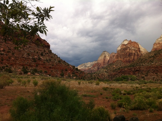Zion National Park 
