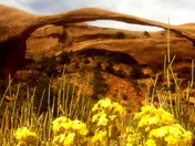 Arches
