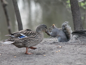 Necedah National Wildlife Refuge