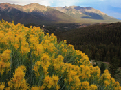 Sawtooth National Recreation area