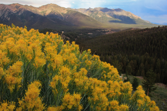 Sawtooth National Recreation area