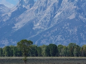 Grand Teton National Park