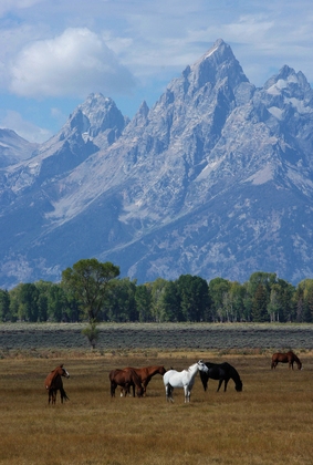Grand Teton National Park