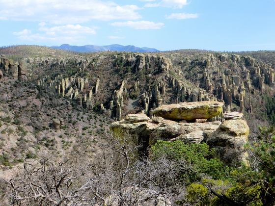 Chiricauhua National Monument