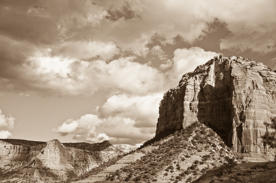 Coconino