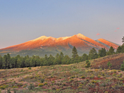 Coconino National Forest