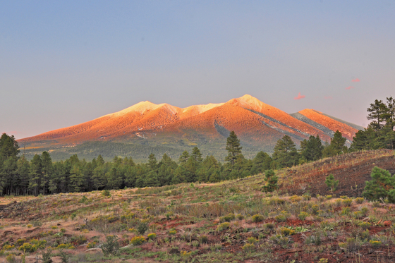 Coconino National Forest