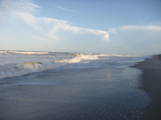 Canaveral National Seashore