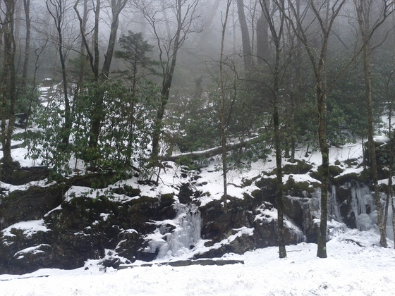 Smoky Moutains, TN