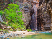 Zion National Park