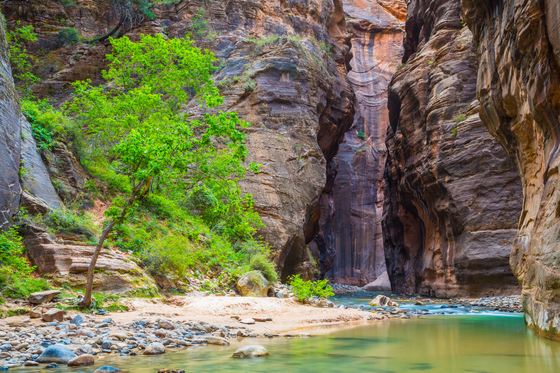 Zion National Park