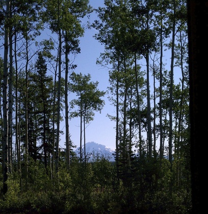 Wrangell St. Elias
