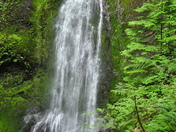 Olympic National Park
