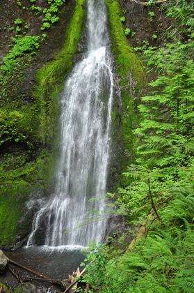 Olympic National Park