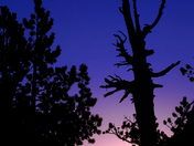 Crater Lake National Park
