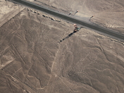 Tree, Hands and Pan-American Highway, Oh My!!!!