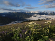 Olympic National Park
