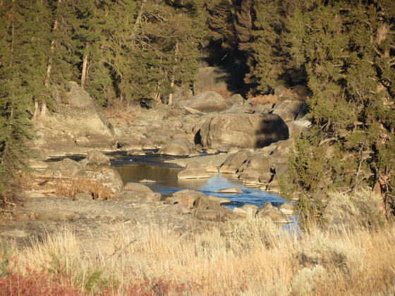 Yellowstone Park