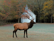 Great Smoky Mountain National Park