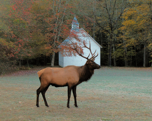 Great Smoky Mountain National Park