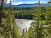 Denali National Park