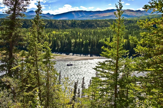 Denali National Park
