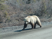Denali