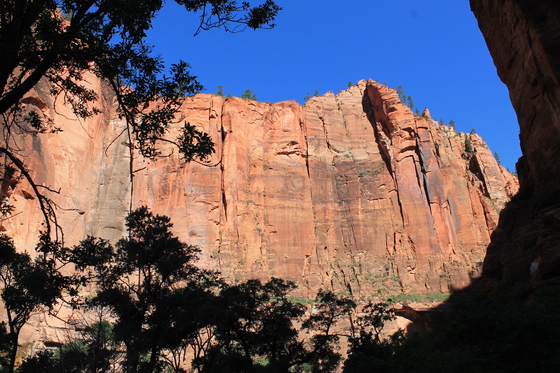 Zion National Park