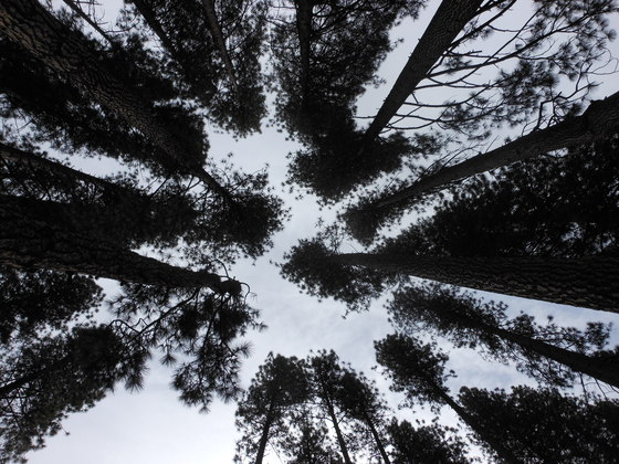 Yosemite National Park