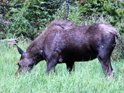 Rocky Mountain National Park