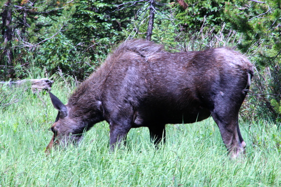 Rocky Mountain National Park