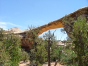 Natural Bridges National Park,Utah